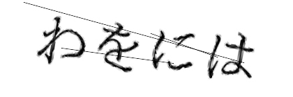 CAPTCHA画像