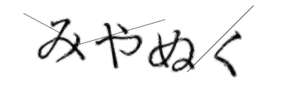 CAPTCHA画像