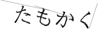 CAPTCHA画像