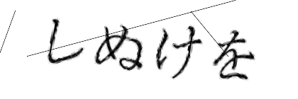 CAPTCHA画像