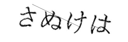 CAPTCHA画像
