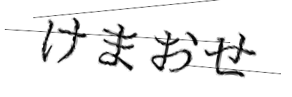 CAPTCHA画像