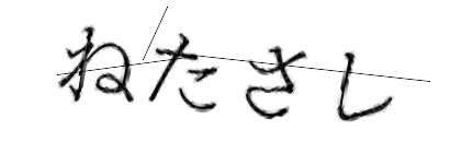 CAPTCHA画像