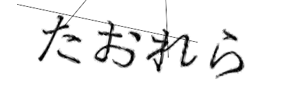 CAPTCHA画像