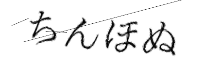 CAPTCHA画像