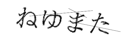 CAPTCHA画像