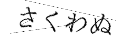 CAPTCHA画像