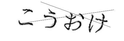 CAPTCHA画像