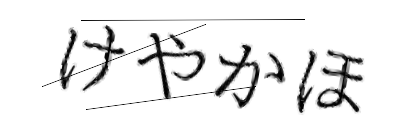 CAPTCHA画像