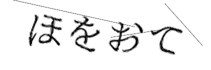 CAPTCHA画像