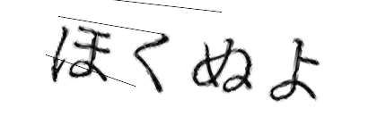 CAPTCHA画像