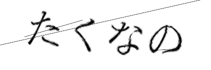 CAPTCHA画像