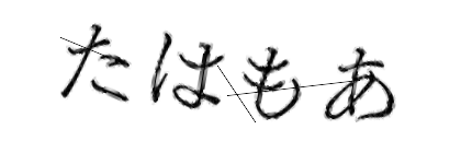 CAPTCHA画像
