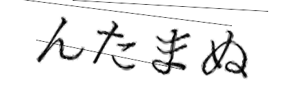 CAPTCHA画像