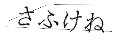 CAPTCHA画像