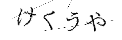 CAPTCHA画像
