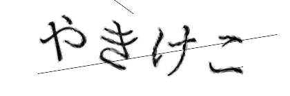 CAPTCHA画像