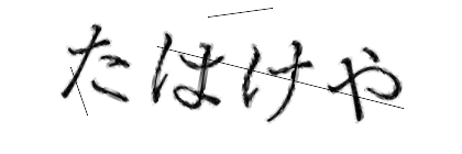 CAPTCHA画像