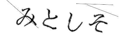 CAPTCHA画像