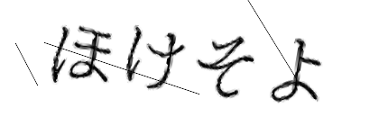 CAPTCHA画像