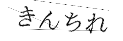 CAPTCHA画像