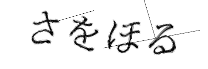 CAPTCHA画像