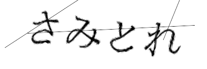 CAPTCHA画像