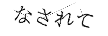 CAPTCHA画像