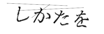 CAPTCHA画像