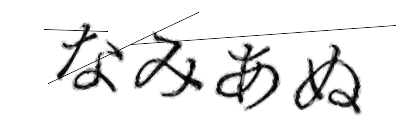 CAPTCHA画像
