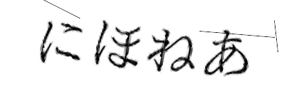CAPTCHA画像