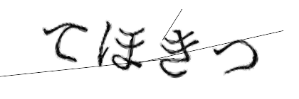 CAPTCHA画像