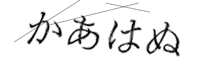 CAPTCHA画像