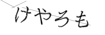 CAPTCHA画像