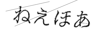 CAPTCHA画像