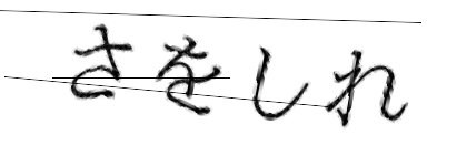 CAPTCHA画像
