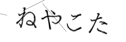 CAPTCHA画像
