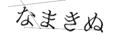CAPTCHA画像