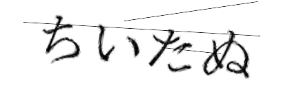 CAPTCHA画像