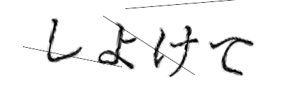 CAPTCHA画像