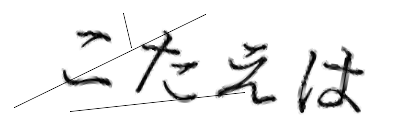 CAPTCHA画像