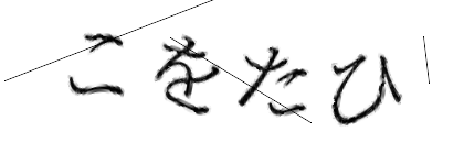 CAPTCHA画像