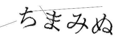 CAPTCHA画像