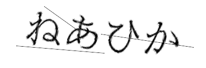 CAPTCHA画像