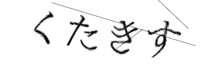 CAPTCHA画像