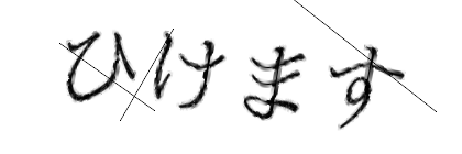 CAPTCHA画像
