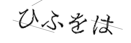 CAPTCHA画像