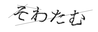 CAPTCHA画像