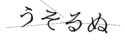 CAPTCHA画像