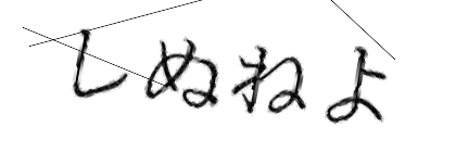 CAPTCHA画像